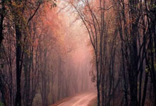 胜负掷金，足球传奇在这一刻诞生