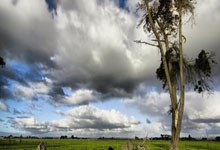 卡巴签约引爆NBL！冲CBA？山东新疆球迷：赶紧抢人