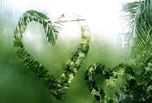 卡巴签约引爆NBL！冲CBA？山东新疆球迷：赶紧抢人