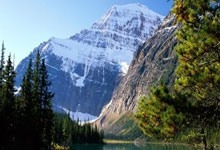 卡巴签约引爆NBL！冲CBA？山东新疆球迷：赶紧抢人