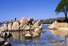 卡巴签约引爆NBL！冲CBA？山东新疆球迷：赶紧抢人