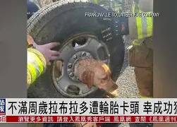 瓦拉多利德大捷跻身，成功取胜